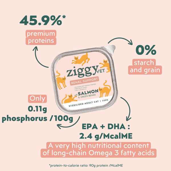 Composition analytique de la pâtée pour chat en insuffisance rénale Chronique (IRC) au saumon Ziggy