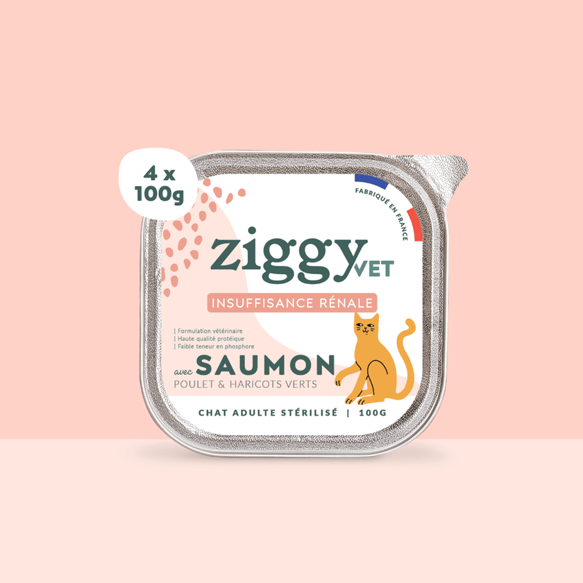Barquette de pâtée pour chat en insuffisance rénale Chronique (IRC) au saumon Ziggy