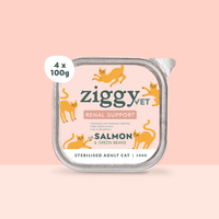 Ziggy Nieren-Nassfutter mit Lachs für Katzen, 4×100g – 1er-Packung