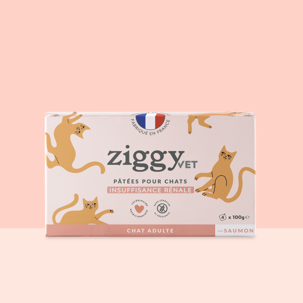 Lot de 4 pâtées pour chat en insuffisance rénale Chronique (IRC) au saumon Ziggy