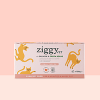 Ziggy Renal & Salmon Wet Food for cats, 4×100g pouches – packaging