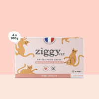 Lot de 4 pâtée pour chat adulte IRC