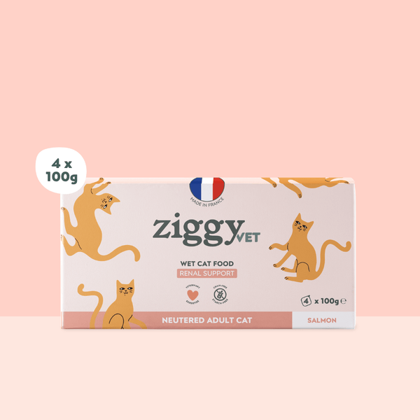 Barquette de pâtée pour chat en insuffisance rénale Chronique (IRC) au saumon de la marque Ziggy