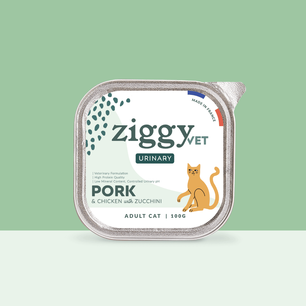 Barquette de 100g de pâtées Ziggy pour chat adulte souffrant de troubles urinaires, saines et sans céréales
