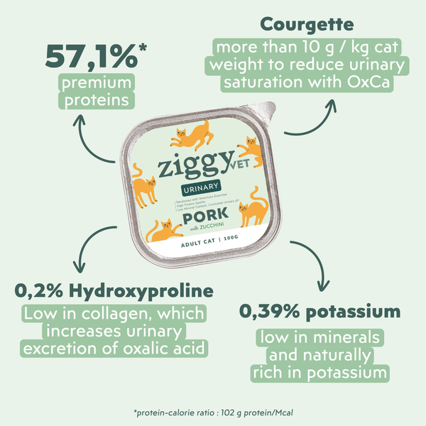 Ingrédients de la pâtée Ziggy Vet pour chat souffrant de troubles urinaires, saine et sans amidon