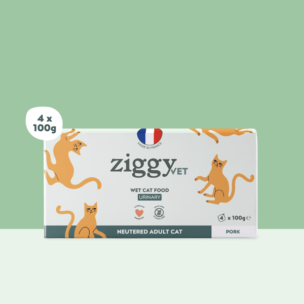 Barquette de 100g de pâtées Ziggy pour chat adulte souffrant de troubles urinaires, saines et sans céréales