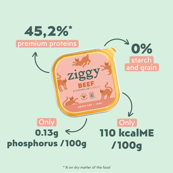 Ingrédients de la pâtée Ziggy pour chat entier au boeuf, saine et sans amidon
