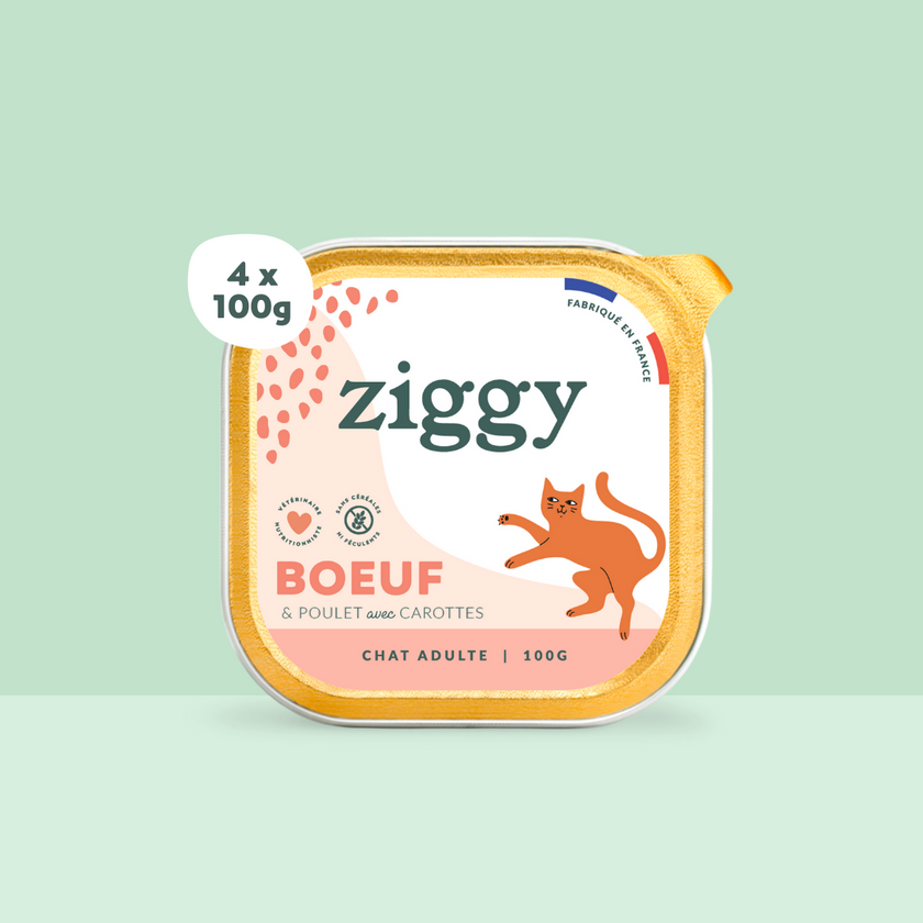 Barquette de 100g de pâtées Ziggy pour chat adulte au boeuf, saines et sans céréales