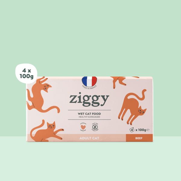 Barquette de 100g de pâtées Ziggy pour chat adulte au boeuf, saines et sans céréales