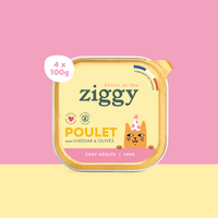 Pâtée Ziggy Jour de Fête poulet cheddar et olives, barquette individuelle 100g
