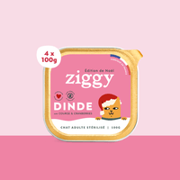 Pâtée de Noël Ziggy pour chat adulte stérilisé à la dinde, saine et sans céréales