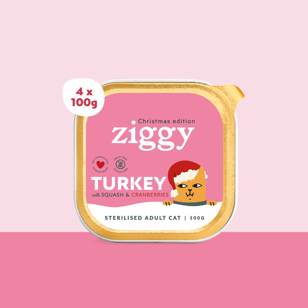 Boite de 4 pâtées de 100g à la dinde spéciale Noël pour chat adulte stérilisé Ziggy