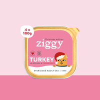 Weihnachtsfutter für Katzen Ziggy