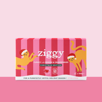 Weihnachtsfutter für Katzen Ziggy