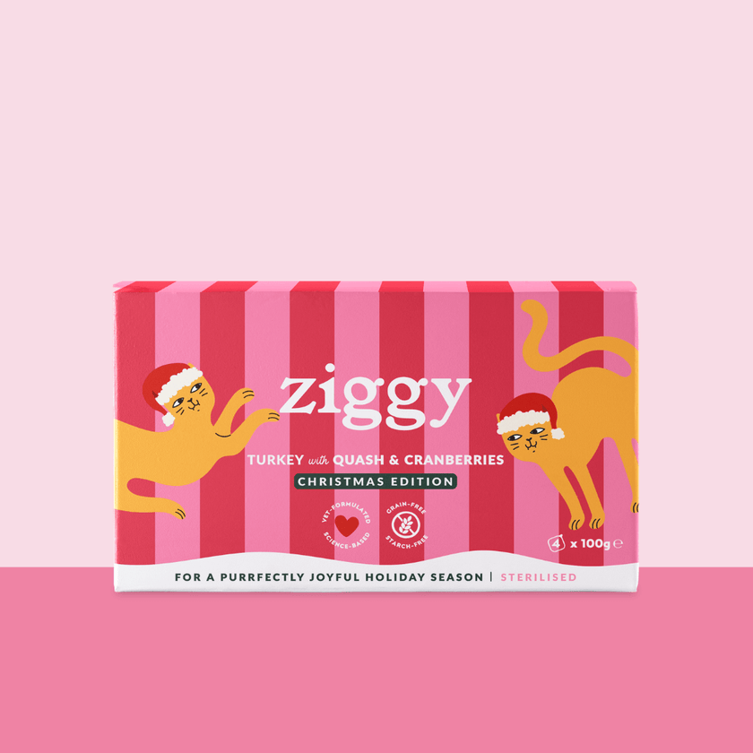 Ziggy Christmas Cat Food