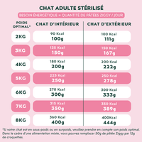 Besoin énergétique d'un chat adulté stérilisé