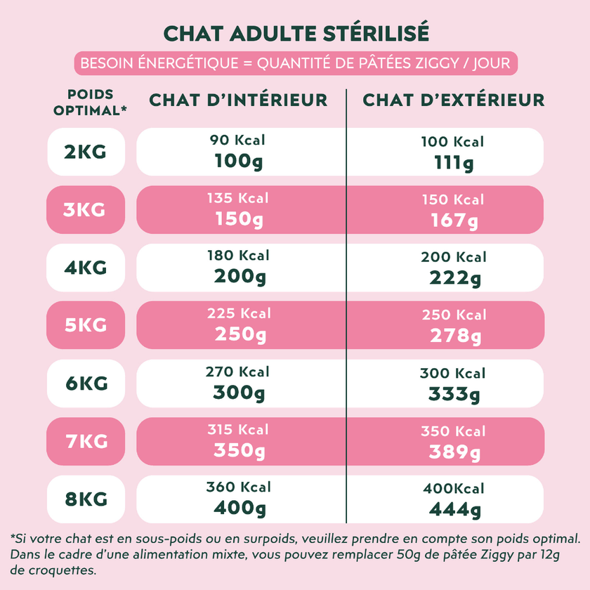 Besoin énergétique d'un chat adulté stérilisé