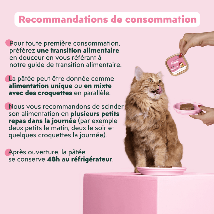 Recommandation de consommation de la pâtée pour chat stérilisé Ziggy à la dinde en édition limitée pour Noël