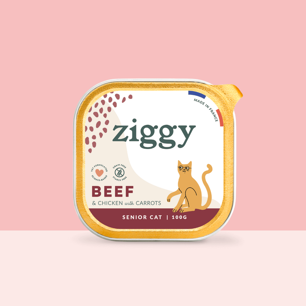 Barquette de 100g de pâtées Ziggy pour chat senior au boeuf, saines et sans céréales