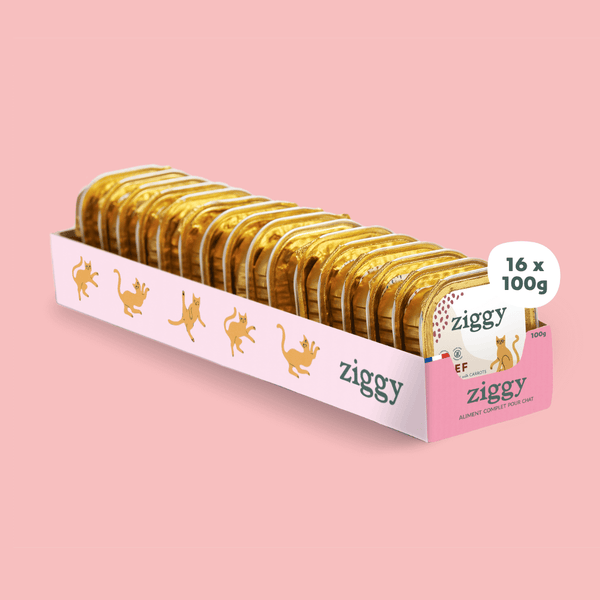 Barquette de 100g de pâtées Ziggy pour chat senior au boeuf, saines et sans céréales