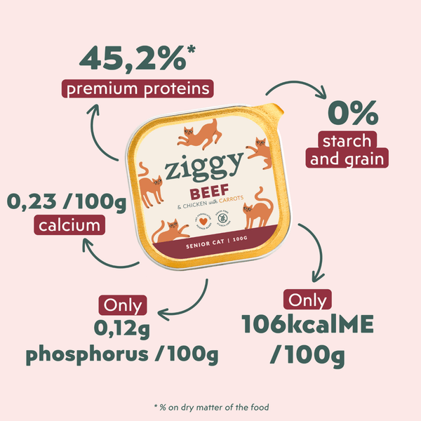 Ingrédients de la pâtée pour chat senior Ziggy au boeuf, saine et sans amidon