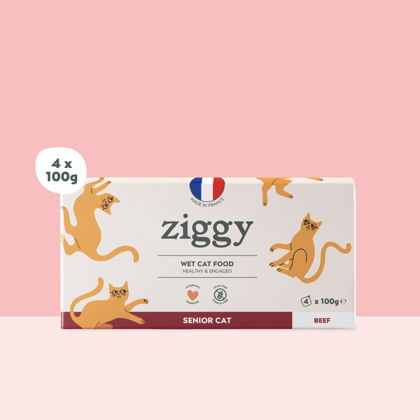 Barquette de 100g de pâtées Ziggy pour chat senior au boeuf, saines et sans céréales