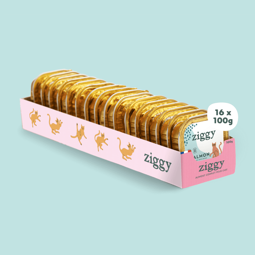 Barquette de pâtée pour chat senior au saumon Ziggy