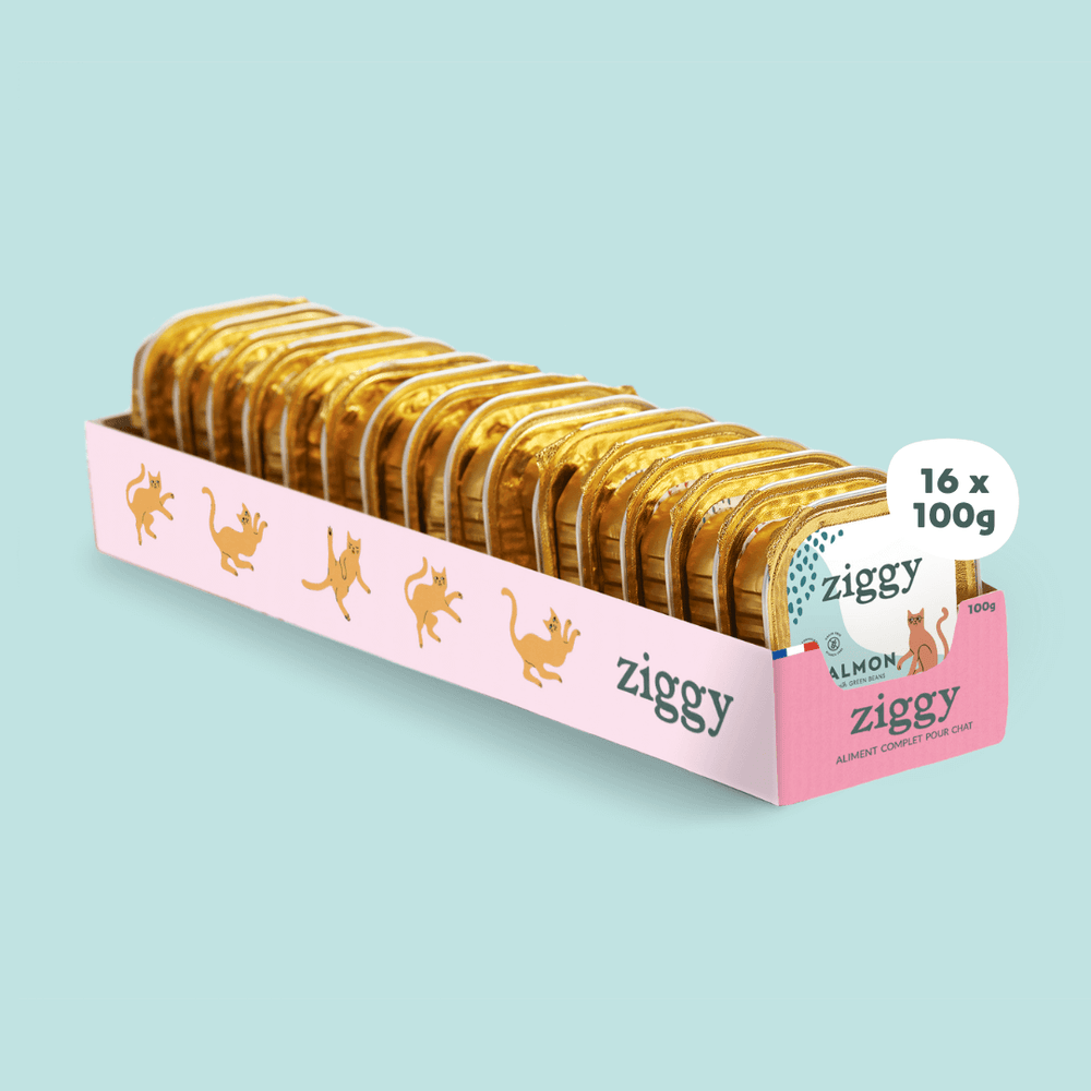 Barquette de pâtée pour chat senior au saumon Ziggy