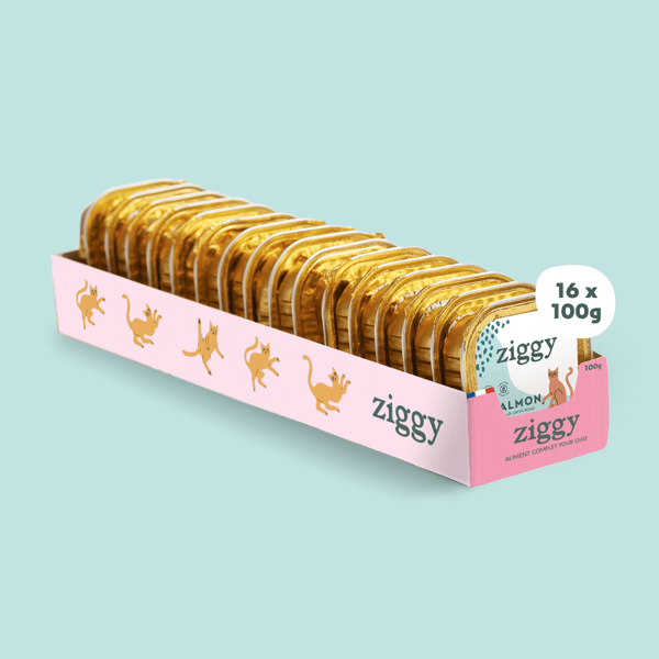 Barquette de pâtée pour chat senior au saumon Ziggy