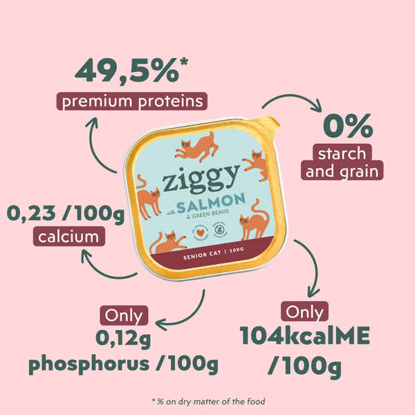 Composition de la pâtée pour chat senior au saumon Ziggy