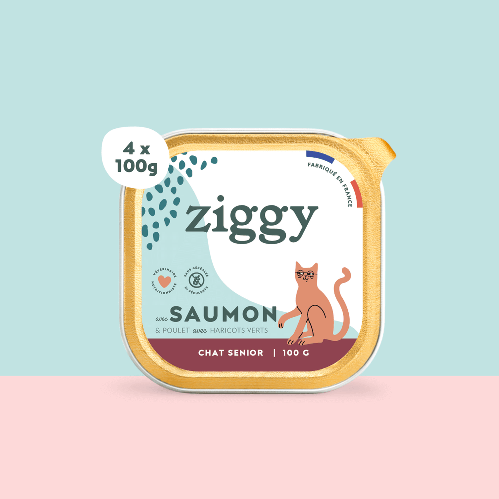 Lot de 4 pâtées pour chat senior au Saumon de la marque Ziggy