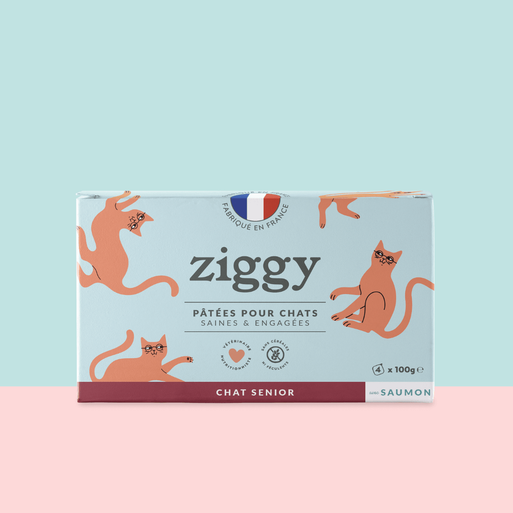 Lot de 4 pâtées pour chat senior au Saumon de la marque Ziggy