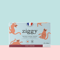 Lot de 4 pâtées pour chat senior au Saumon de la marque Ziggy
