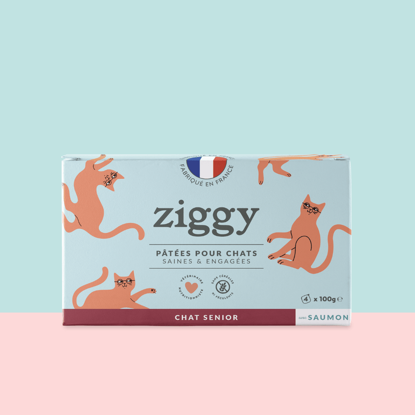 Lot de 4 pâtées pour chat senior au Saumon de la marque Ziggy