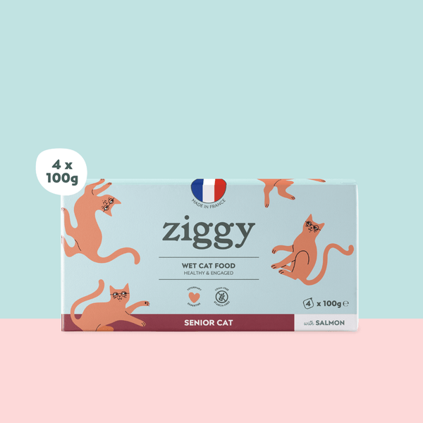 Barquette de pâtée pour chat senior au saumon Ziggy