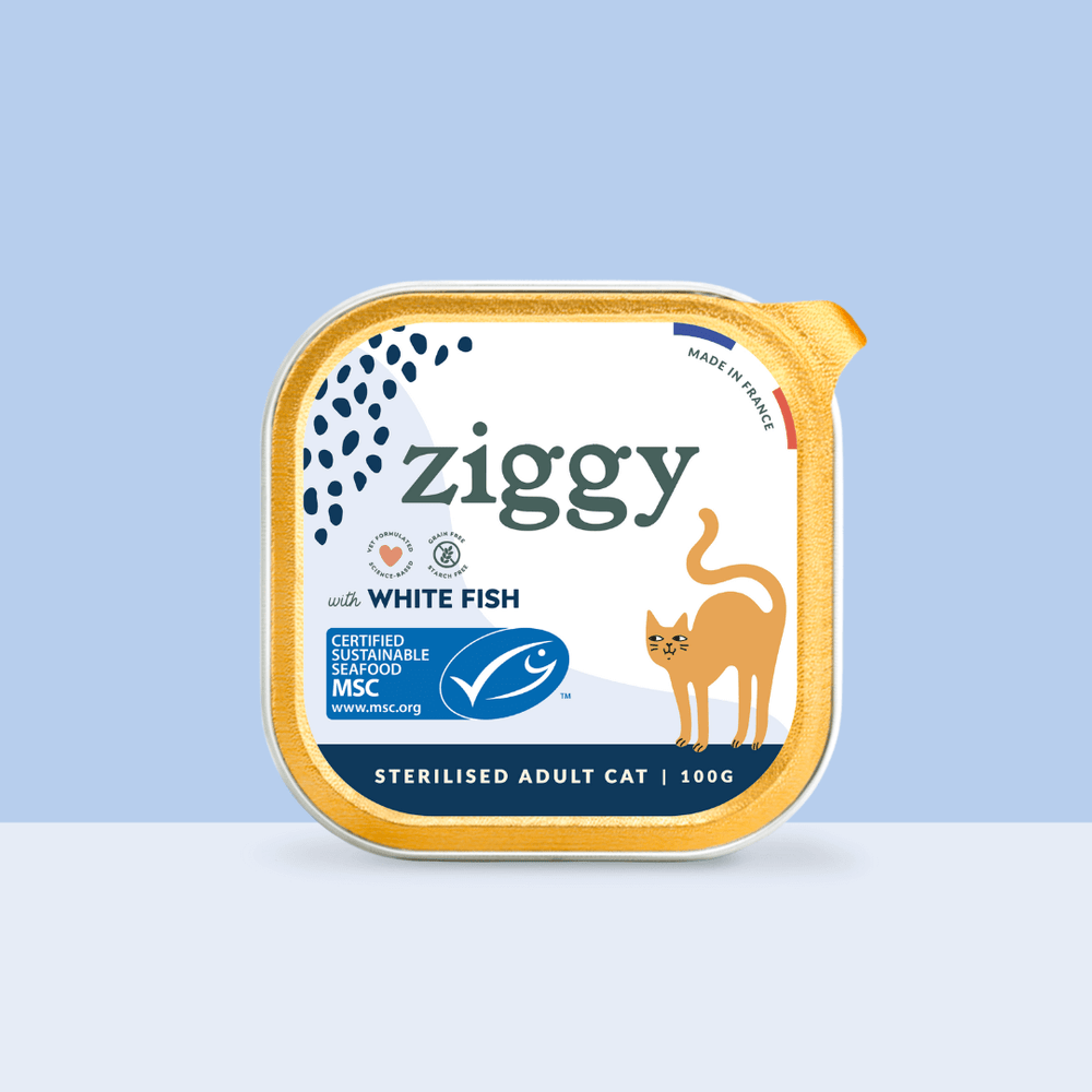 Barquette de 100g de pâtées Ziggy pour chat adulte stérilisé au poisson blanc, saines et sans céréales