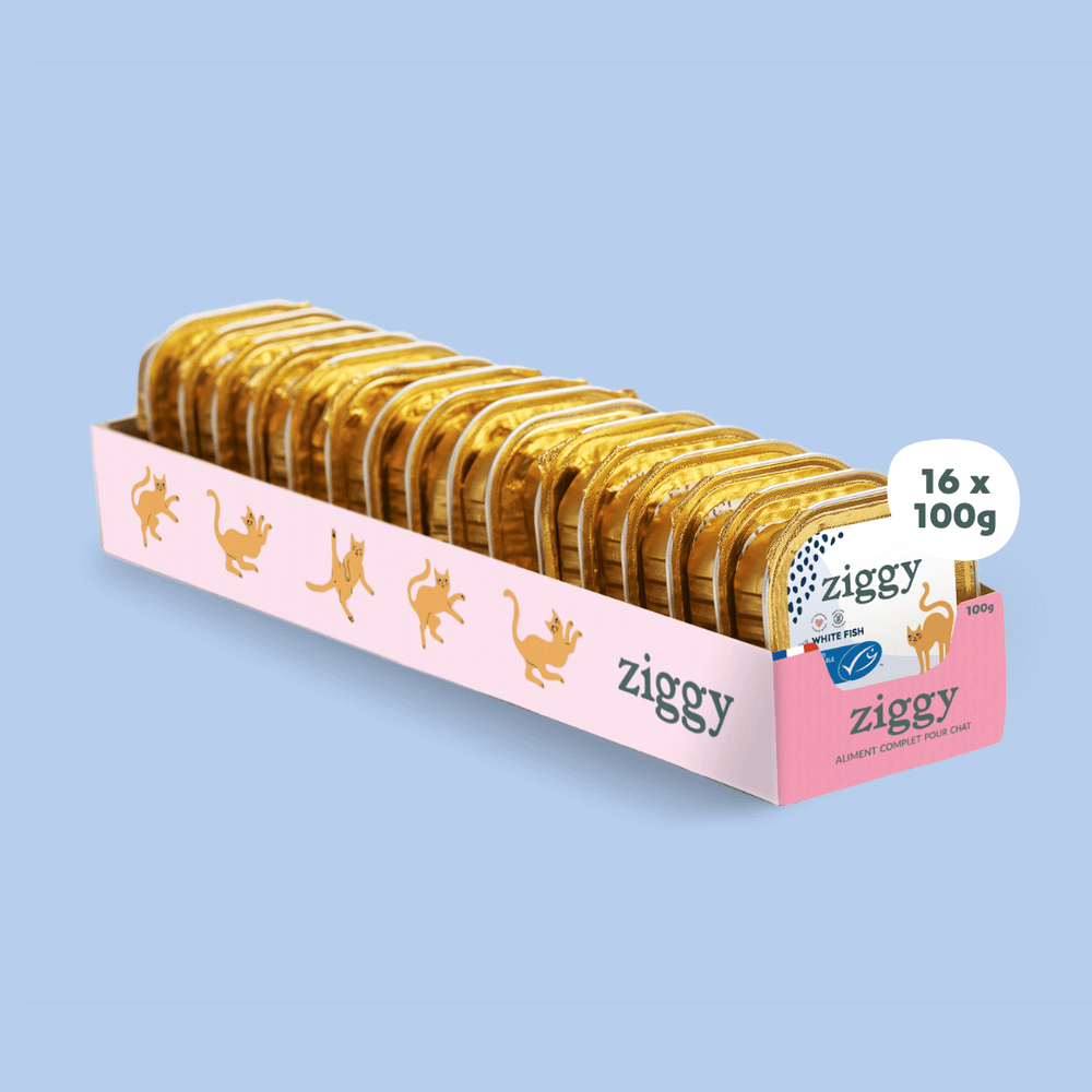 Barquette de 100g de pâtées Ziggy pour chat adulte stérilisé au poisson blanc, saines et sans céréales