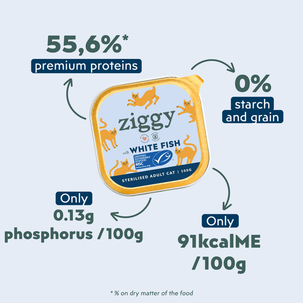 Ingrédients de la pâtée Ziggy pour chat adulte stérilisé au poisson blanc, saine et sans amidon