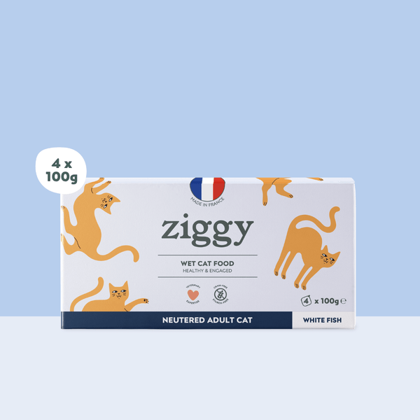 Barquette de 100g de pâtées Ziggy pour chat adulte stérilisé au poisson blanc, saines et sans céréales