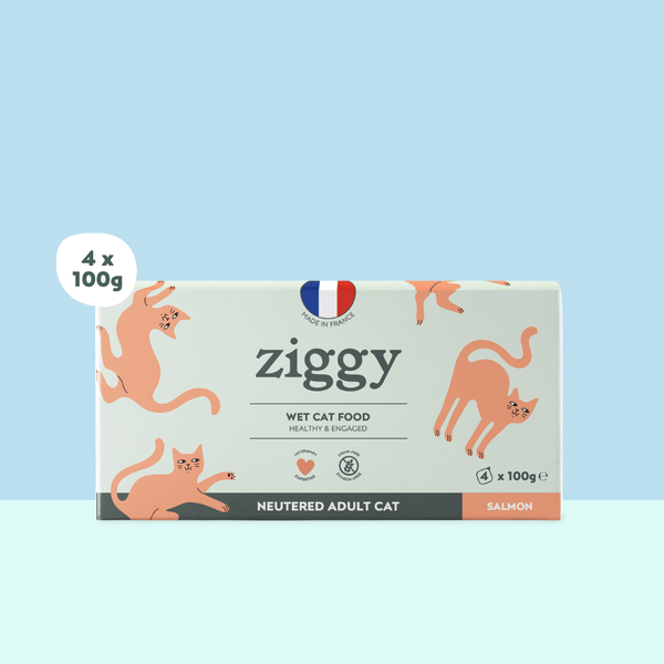 Barquette de 100g de pâtées Ziggy pour chat adulte stérilisé au saumon, saines et sans céréales