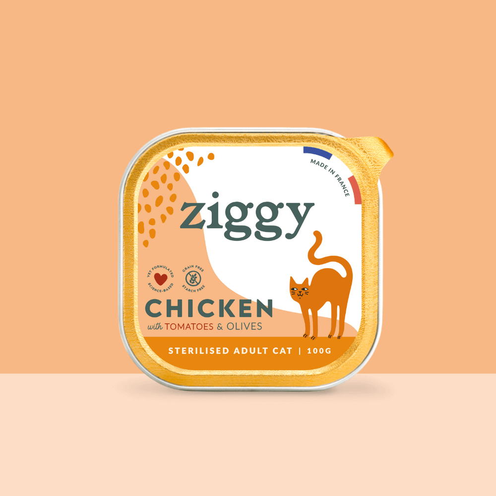 Barquette de la pâtée pour chat adulte stérilisé Ziggy au Poulet, Tomates et Olives