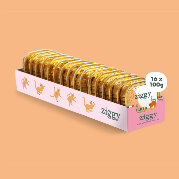 Barquette de la pâtée pour chat adulte stérilisé Ziggy au Poulet, Tomates et Olives