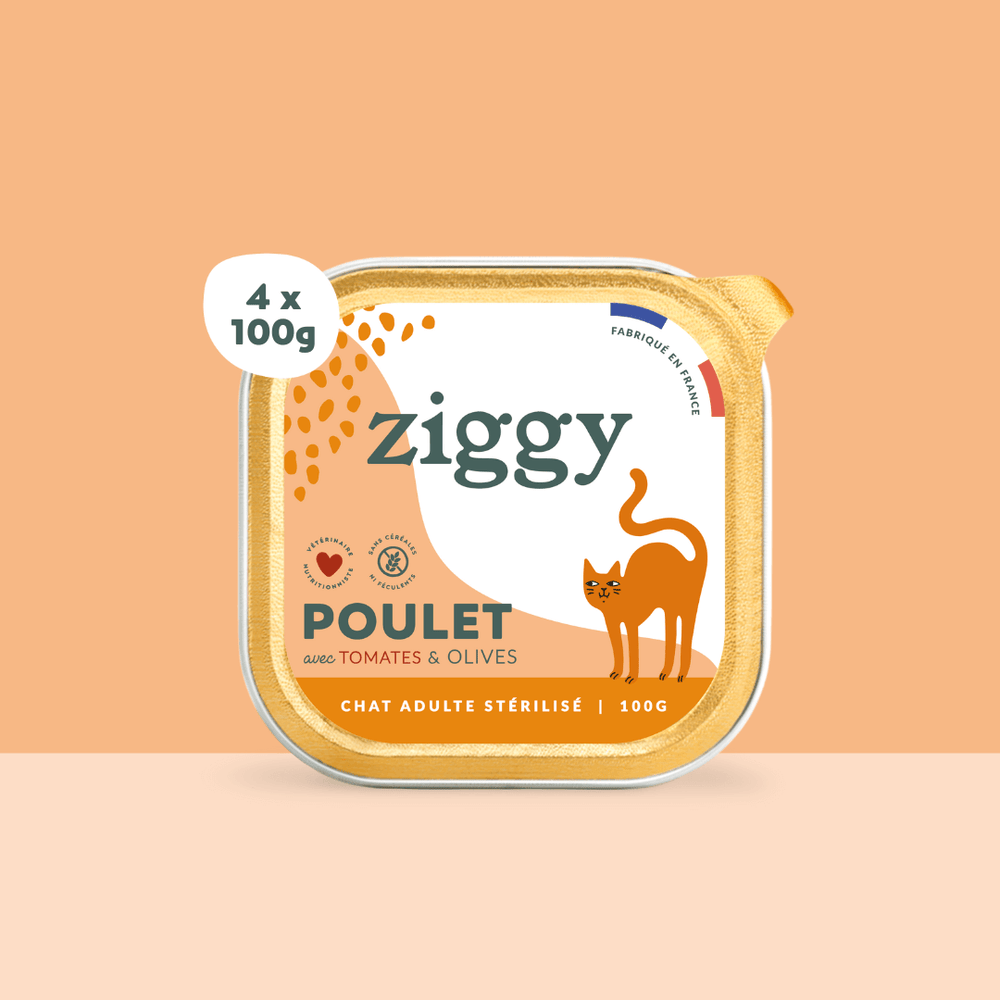Lot de 4 Barquettes de la pâtée pour chat adulte stérilisé Ziggy au poulet tomates et olives