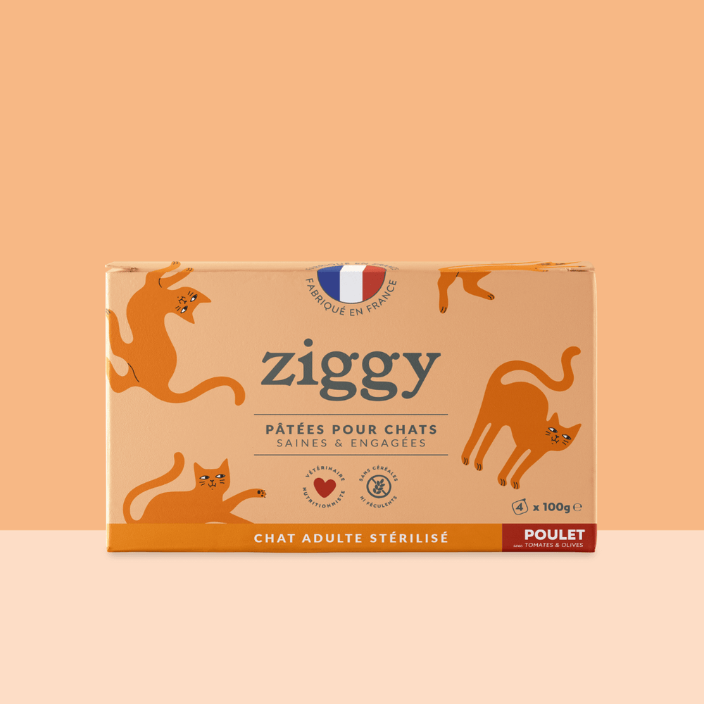 Lot de 4 Barquettes de la pâtée pour chat adulte stérilisé Ziggy au poulet tomates et olives
