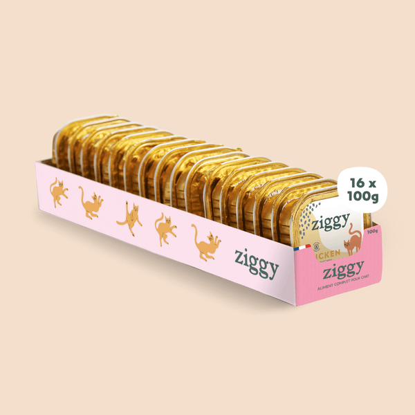 Barquette de pâtée pour chat adulte stérilisé de 100g au poulet de la marque d'alimentation pour chats et chatons saine et sans céréales Ziggy