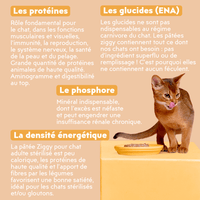 Composition de la pâtée pour chat adulte stérilisé au poulet de la marque d'alimentation pour chat Ziggy