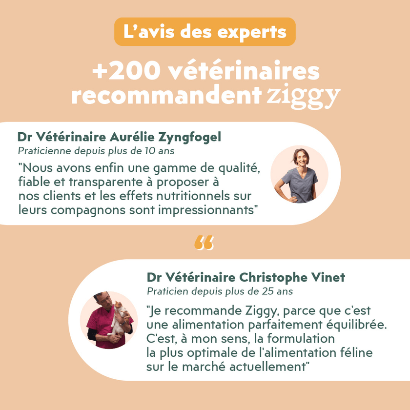 L'avis vétérinaire sur la pâtée pour chat adulte stérilisé Ziggy saine et sans céréales