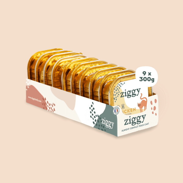 Barquette de pâtée pour chat adulte stérilisé de 100g au poulet de la marque d'alimentation pour chats et chatons saine et sans céréales Ziggy