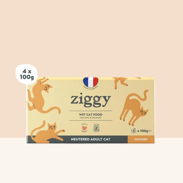 Barquette de pâtée pour chat adulte stérilisé de 100g au poulet de la marque d'alimentation pour chats et chatons saine et sans céréales Ziggy