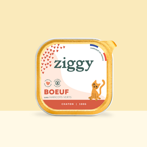 Barquette de 100g de pâtées Ziggy pour chaton au boeuf, saines et sans céréales